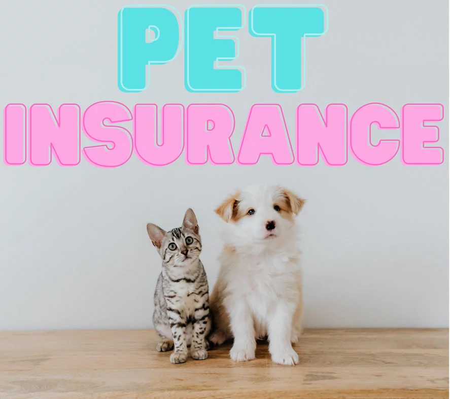 Pet Insurance Affiliate Program