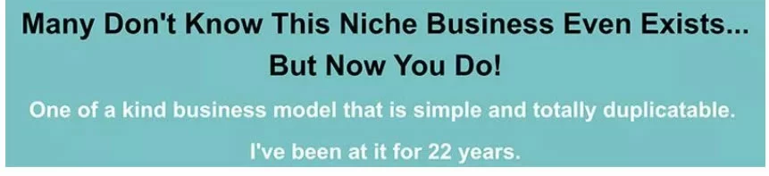 Many Don't Know this Niche Busines Even Exists