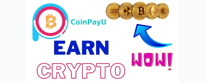 How Does CoinPayU Work