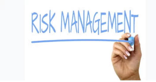 Sections For Risk Management By Andy Tanner