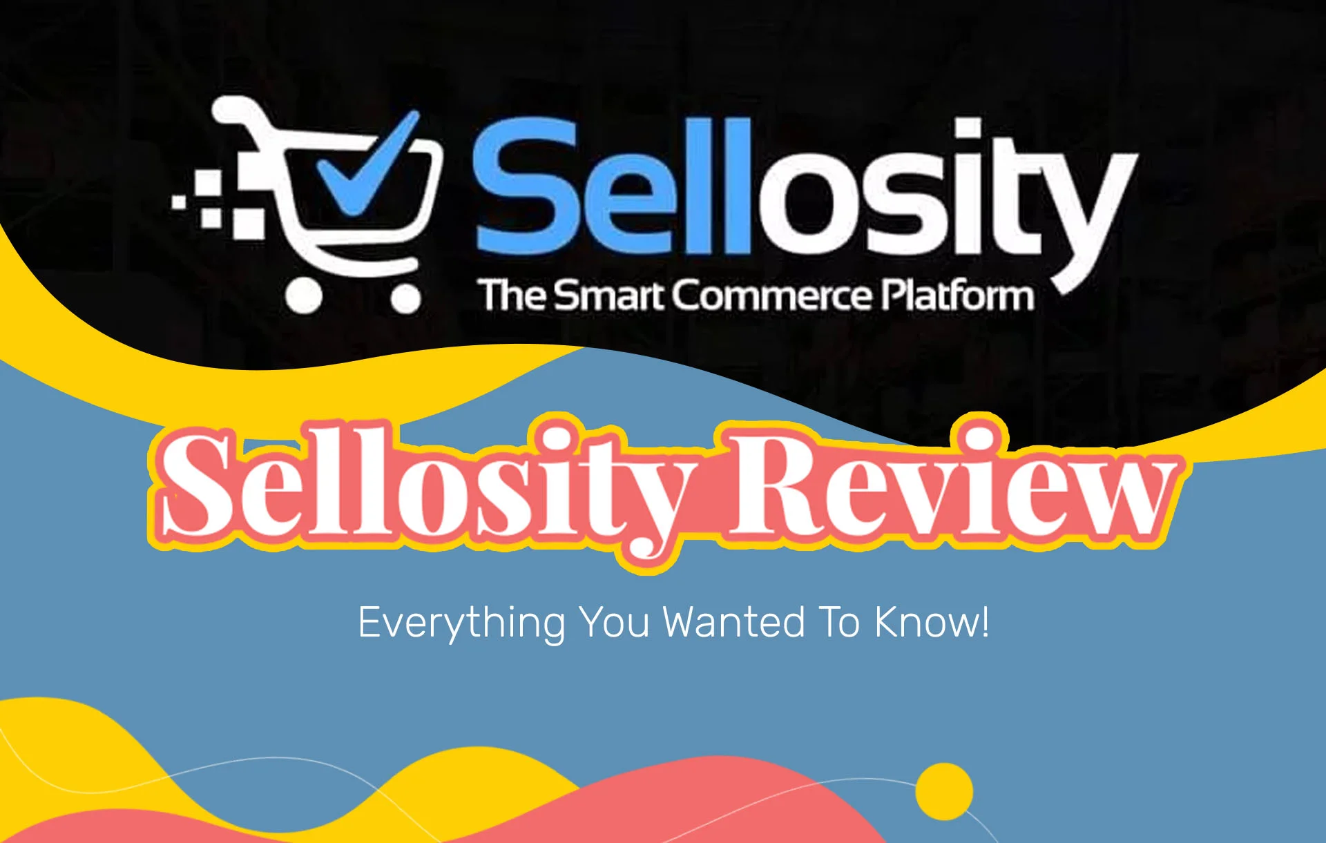 Sellosity Reviews: Everything You Wanted To Know!