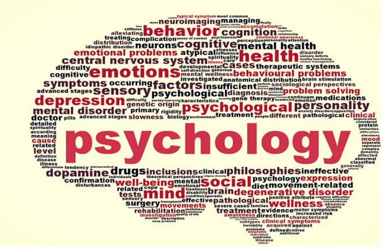 #1 Psychology Major