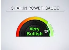 How Much Is The Power Gauge Report