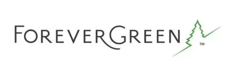 Can You Really Make Money With ForeverGreen