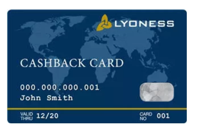 How Does Lyoness Work
