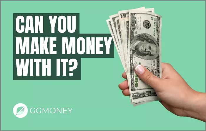 CAN YOU MAKE MONEY WITH IT
