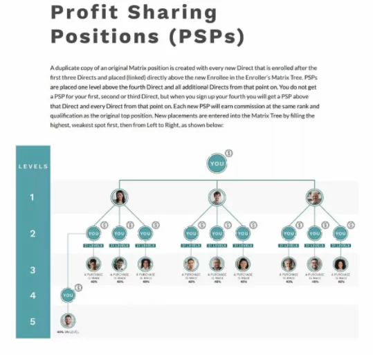 profit sharing (PSPs)