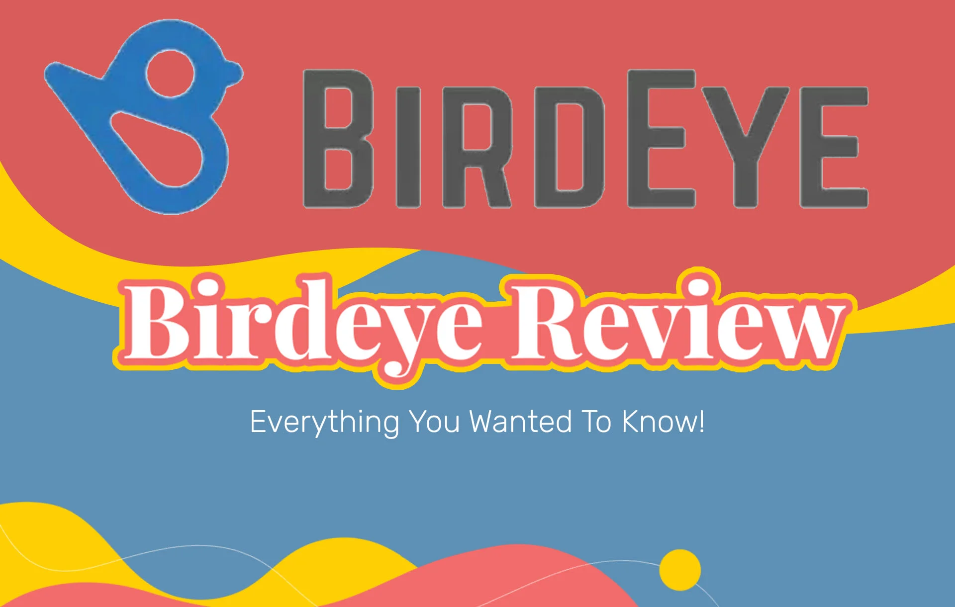 Birdeye Reviews: Everything You Wanted To Know!