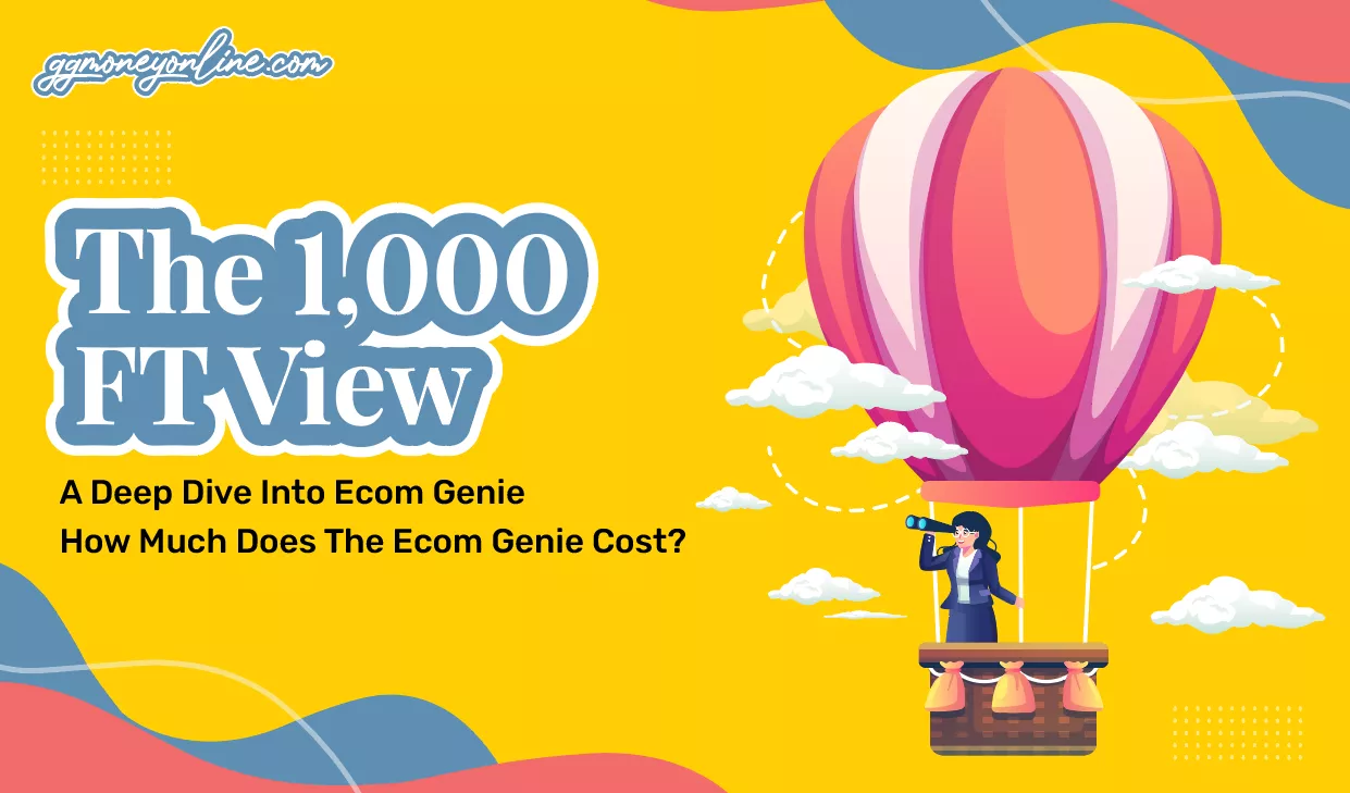 1,000 Ft View  on Ecom Genie