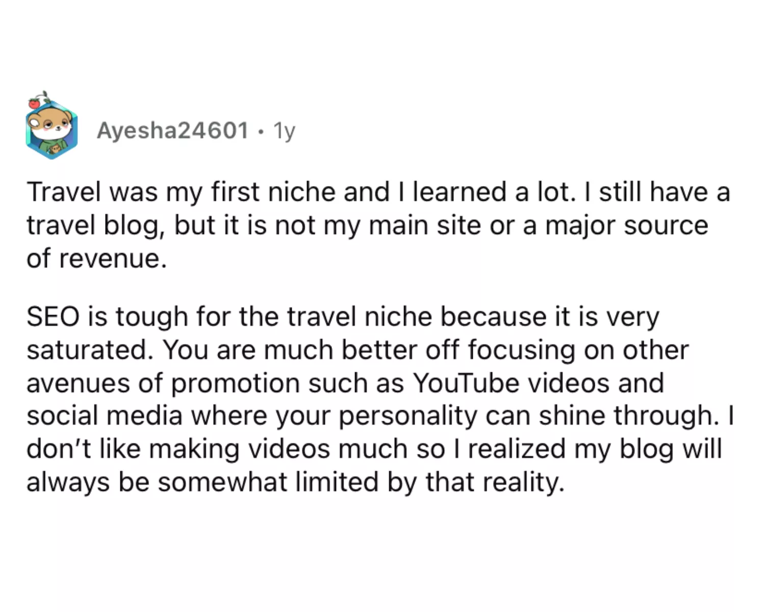 A Reddit comment on travel blogging.