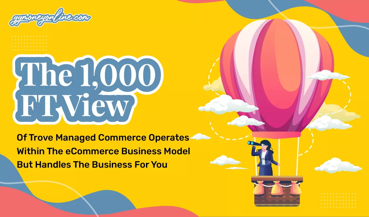 Trove Managed Commerce At A 1,000 FT View