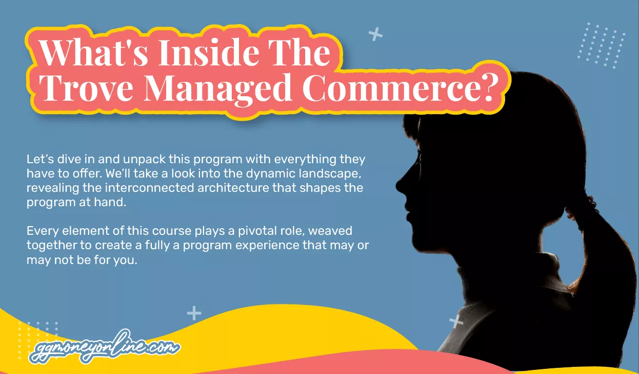 What's Inside The Trove Managed Commerce Program?
