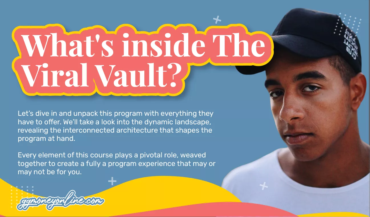 What's inside The Viral Vault?