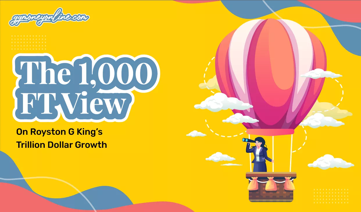 1,000 Ft view on Royston G King and the eCommerce Business Model