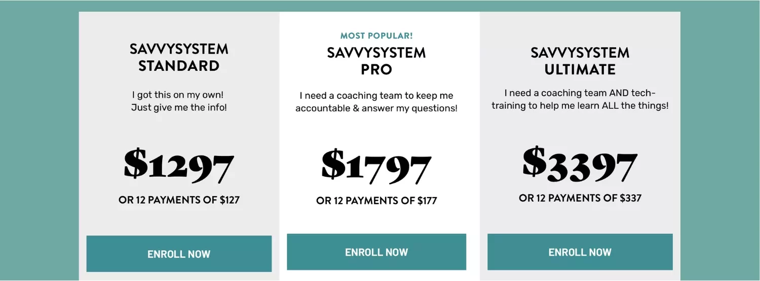 How Much Does The Savvy System Cost