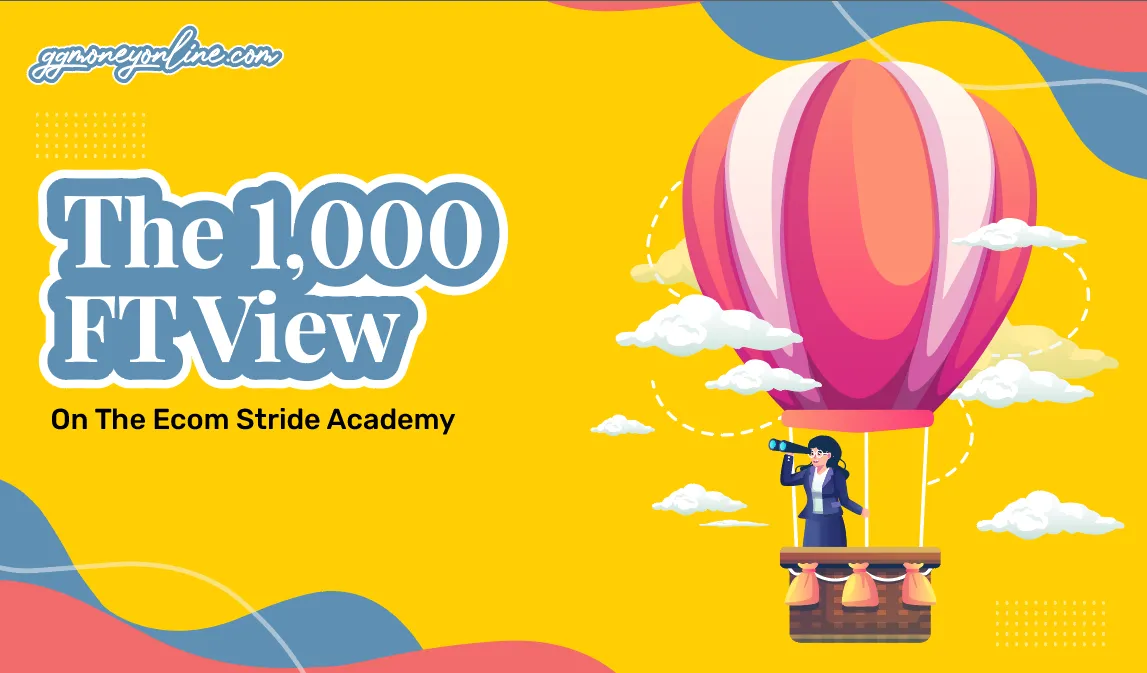 The 1000 FT View On The Ecom Stride Academy