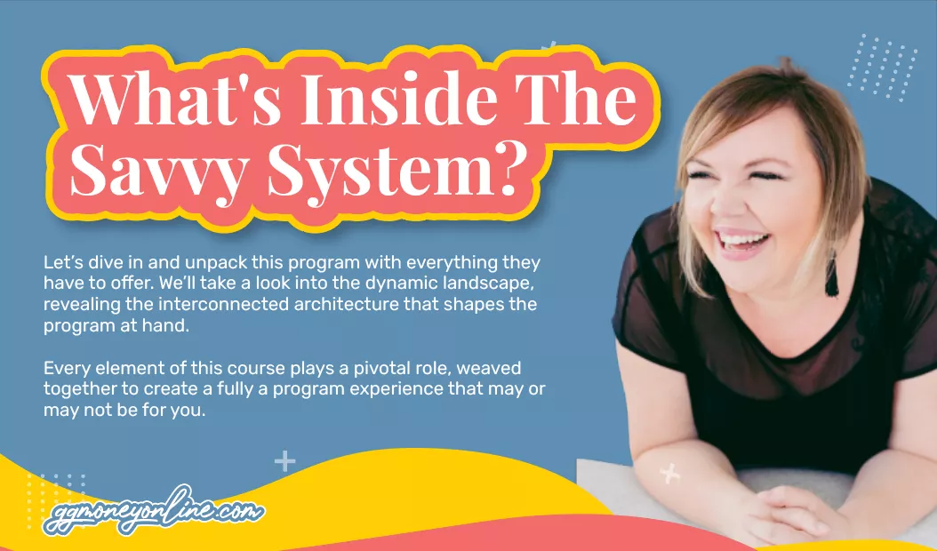 What's Inside The Savvy System?