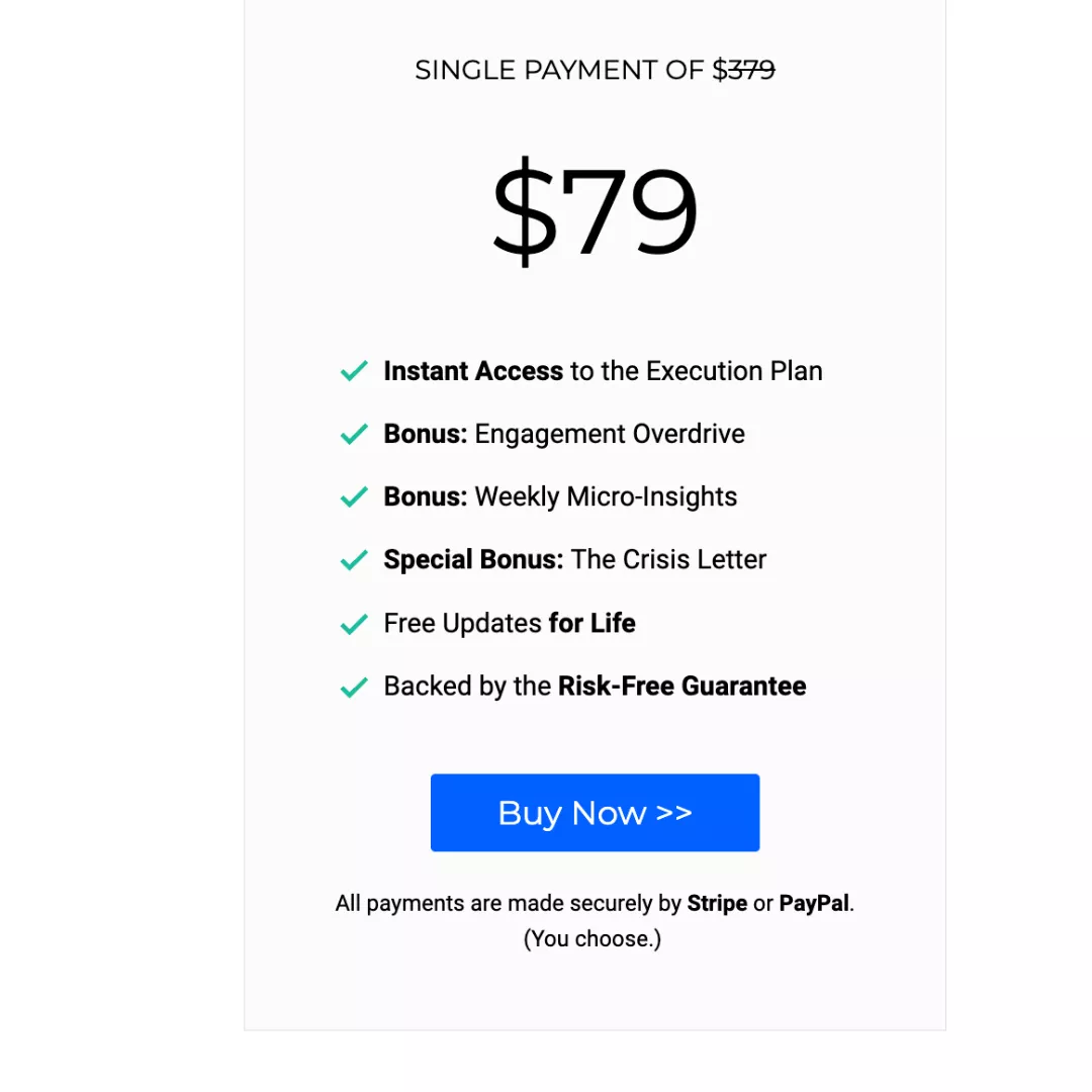 The Google Business Execution Plan cost